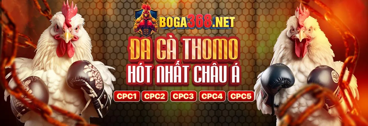 Tổng quan về AE388 Khuyến Mãi 2026